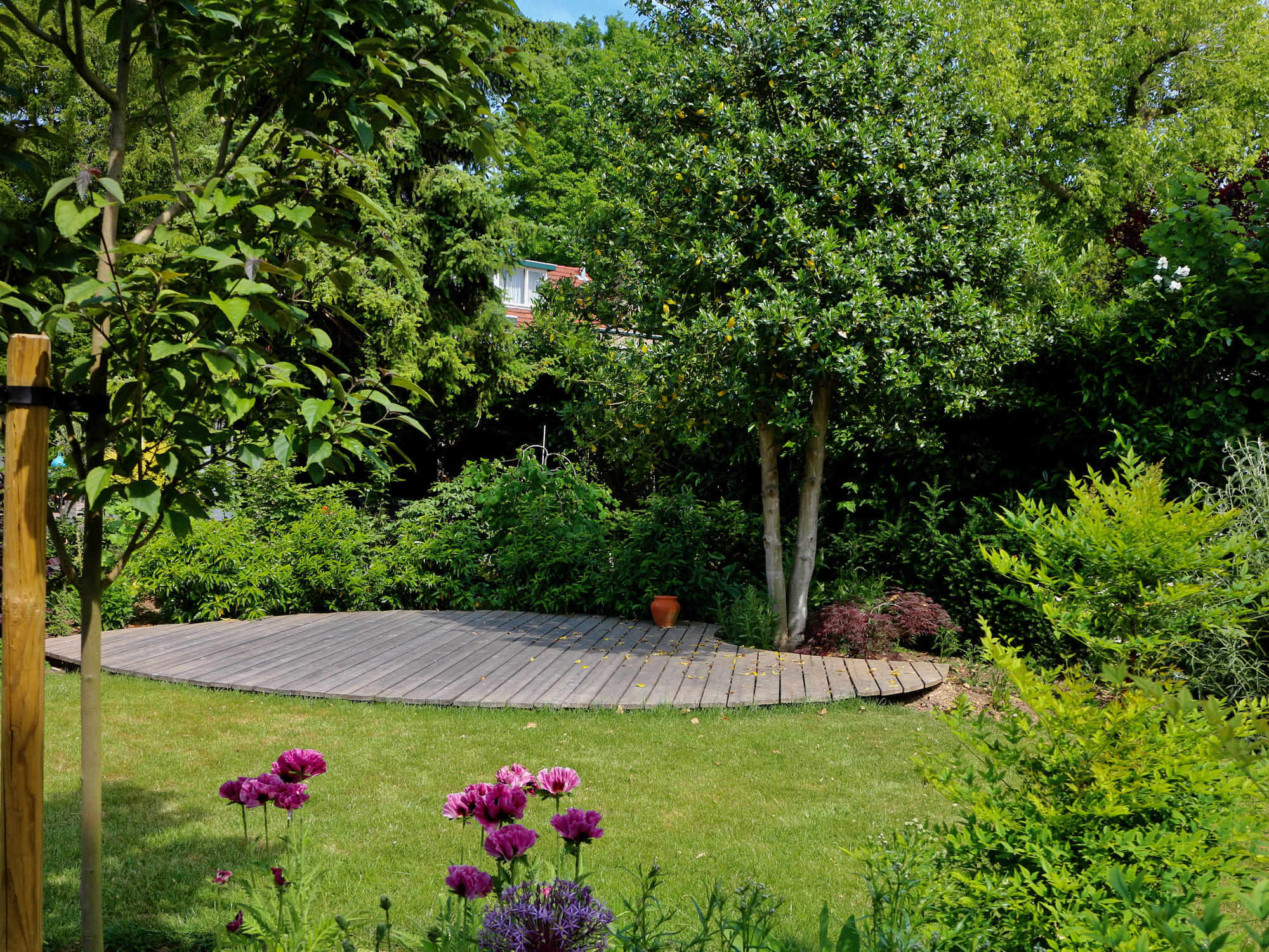 Romantische tuin in Engelse stijl 2