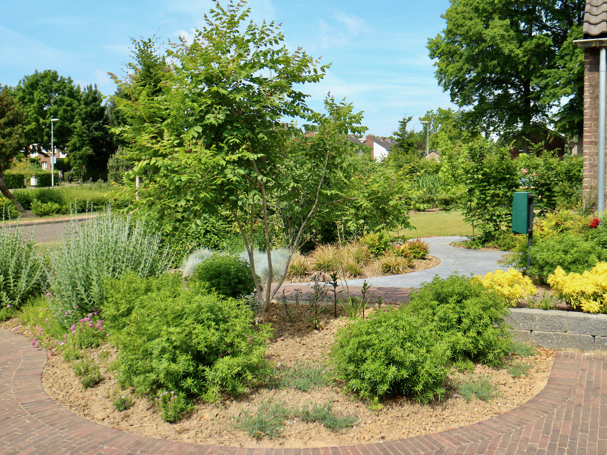 Romantische tuin in Engelse stijl 8