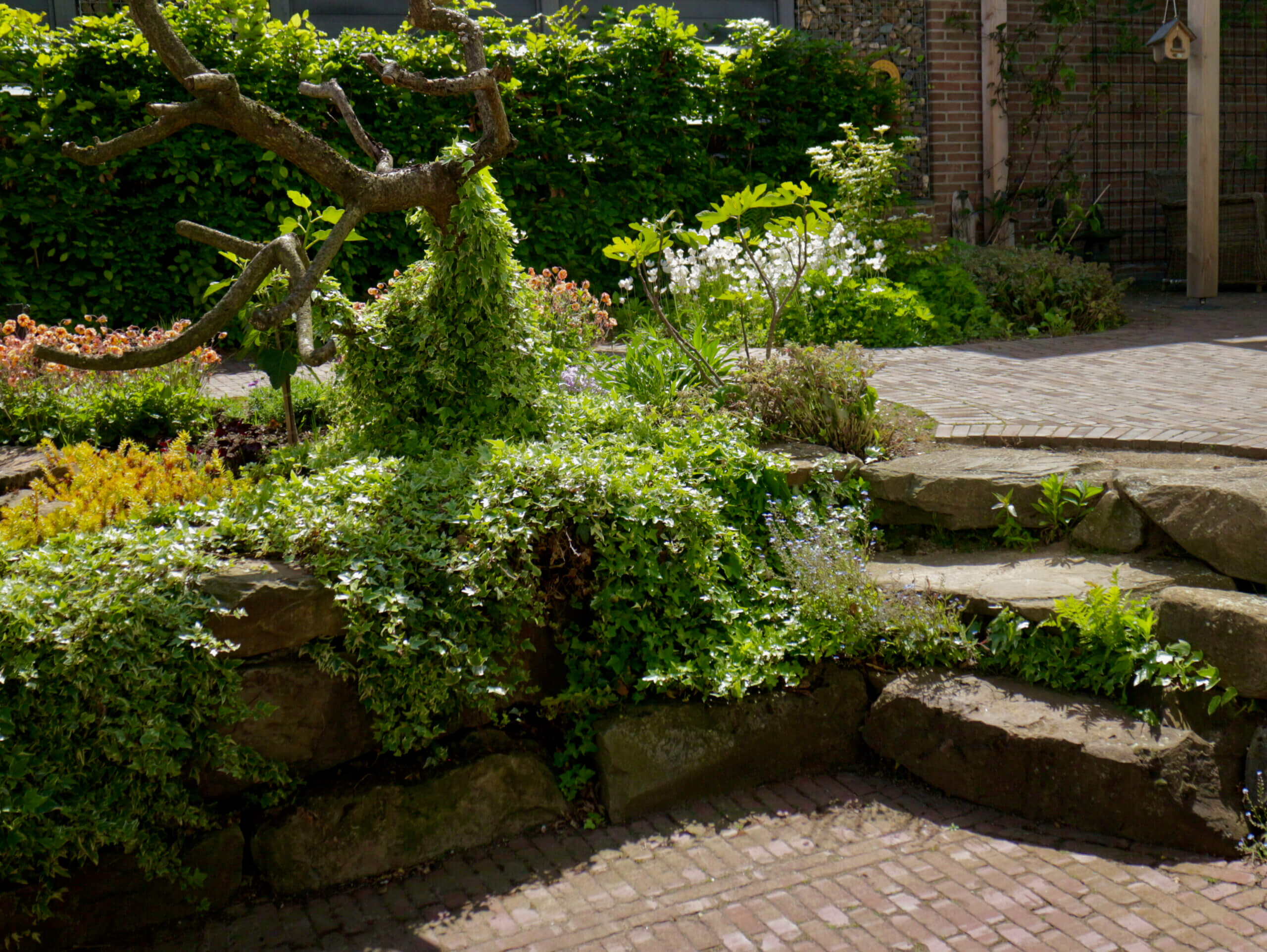 Speels, Romantisch en Natuurlijk 3 (1)